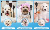 Pet Dog Dog Grooming Table Lanyard Dogs Bathing Fixer Pet Haircut Trim Blow Dry Traction Rope